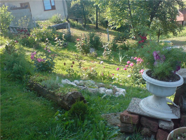 ruzicnjak