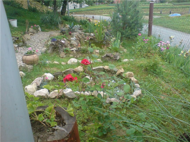 pogled