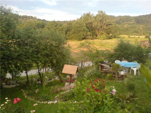panorama